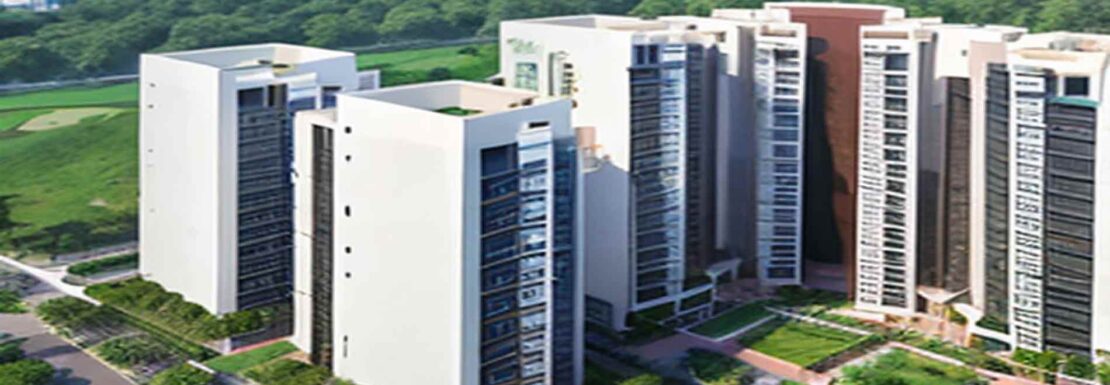 DLF Phase 2