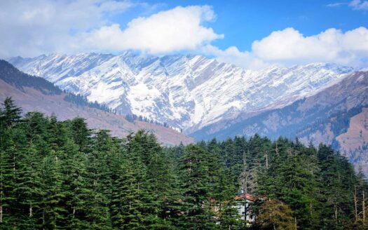 Best Time to Visit Manali With Family