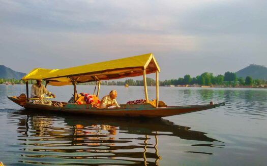 Dal Lake Activities