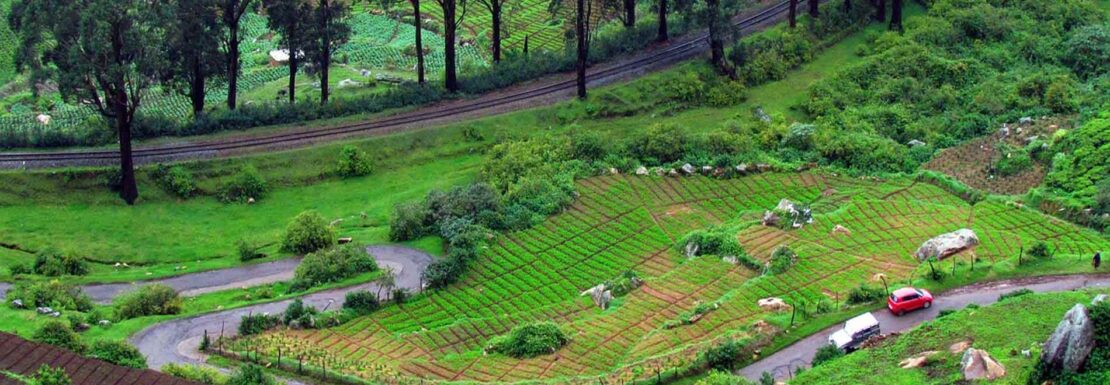 Must Visit Places in Ooty