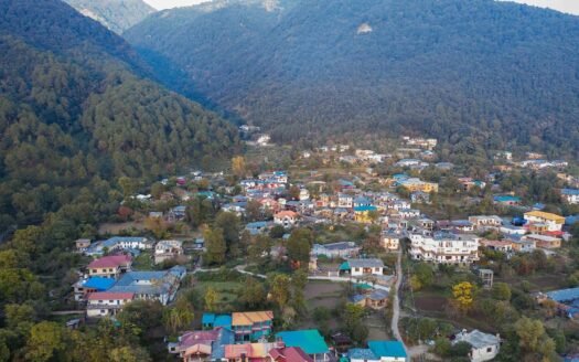 Palampur Tourist Places