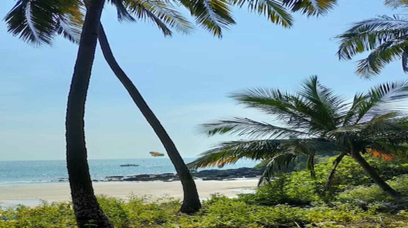 Places to Visit Near Vasco Da Gama Goa