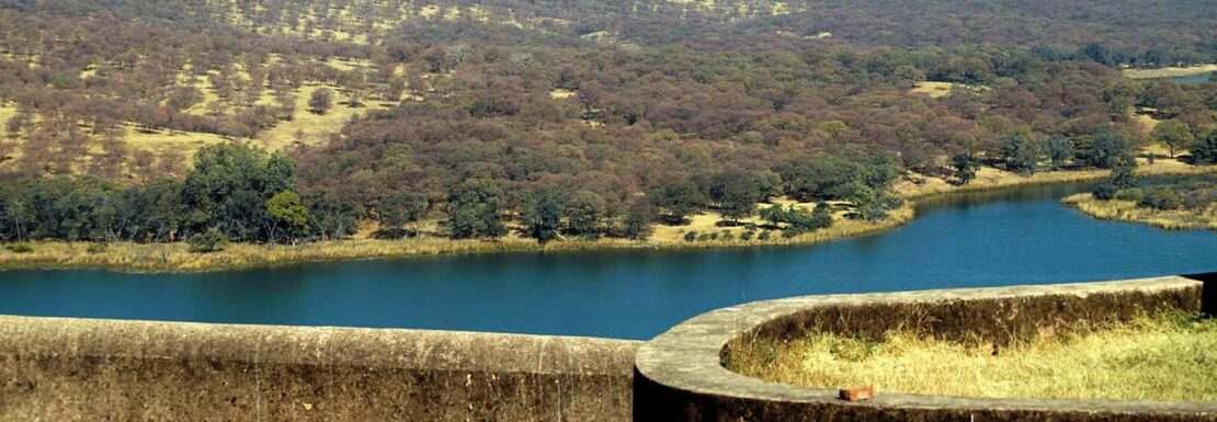 Tourist Places Near Udaipur Within 100 KM